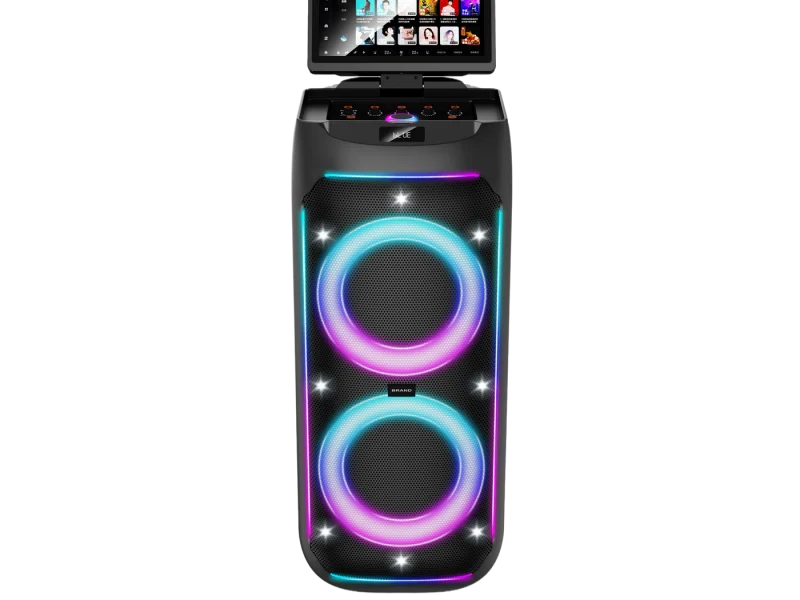 HJSC-2801 A Party Speaker