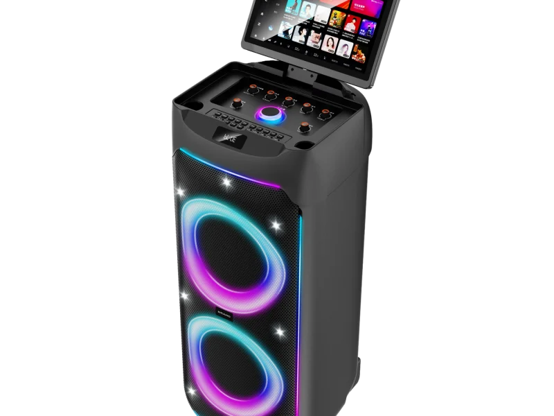 HJSC-2801 A Party Speaker