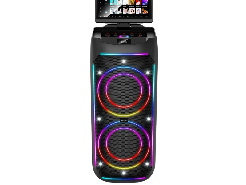 HJSC-2801 B Party Speaker