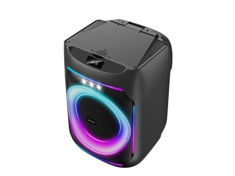 HJSC-801 A Party Speaker