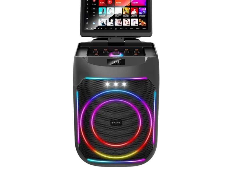HJSC-801 B Party Speaker