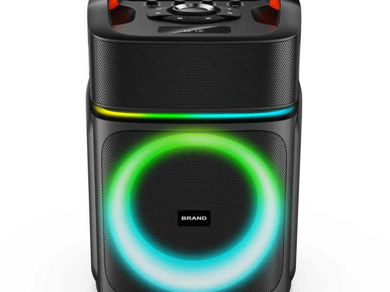 GE-P08D Party Speaker