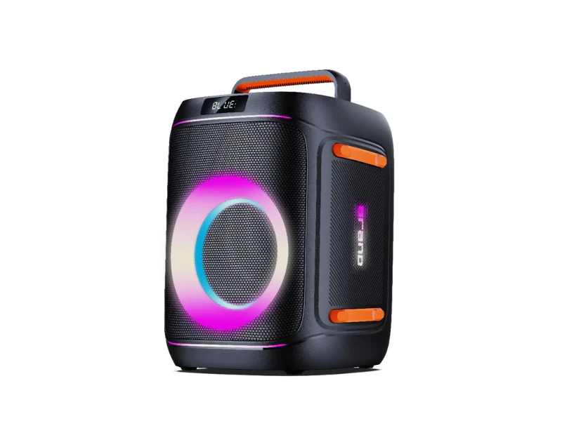 GE-W06 Party Speaker