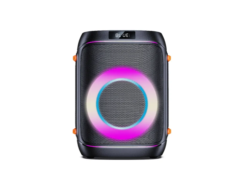 GE-W06 Party Speaker