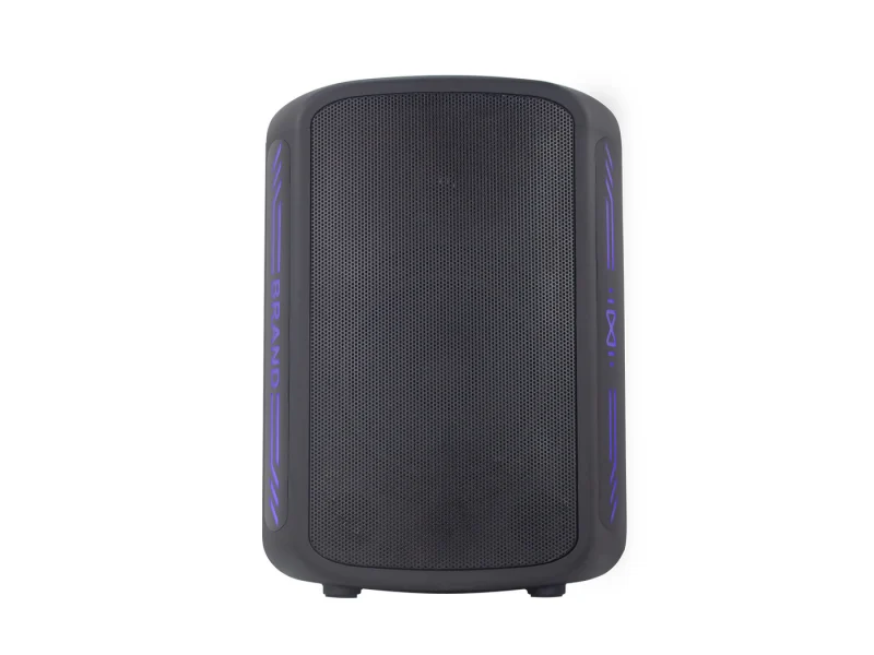 HJ-P08 Party Speaker