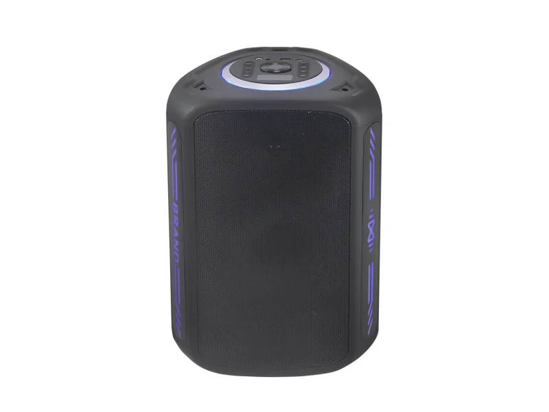 HJ-P08 Party Speaker