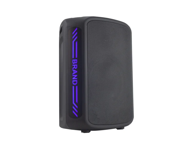HJ-P08 Party Speaker