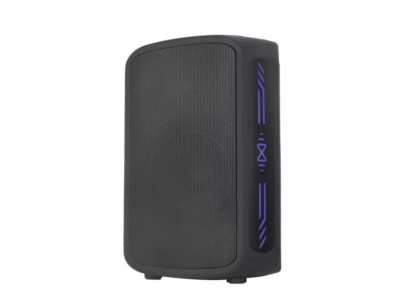 HJ-P08 Party Speaker