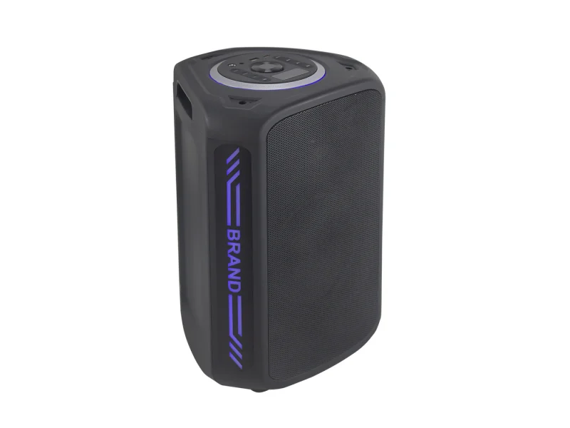 HJ-P08 Party Speaker