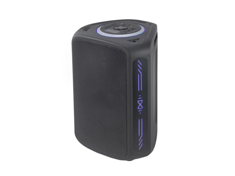 HJ-P08 Party Speaker
