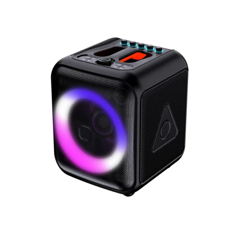 HJ-P09 Party Speaker