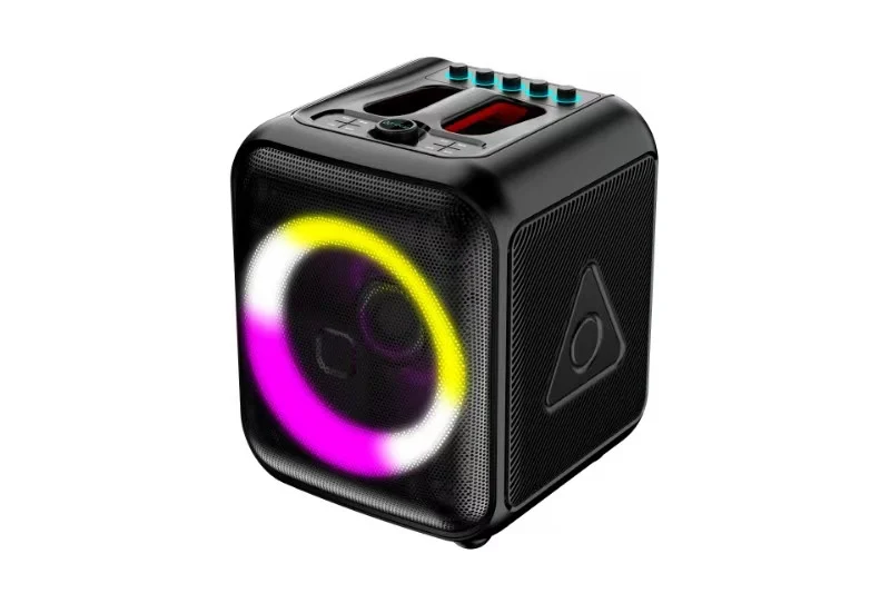 HJ-P09 Party Speaker