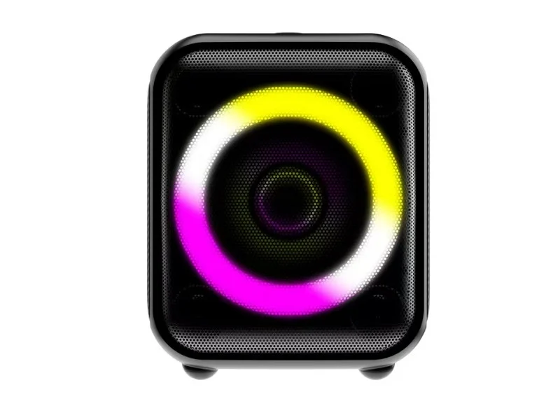 HJ-P09 Party Speaker