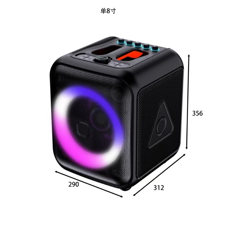 HJ-P09 Party Speaker