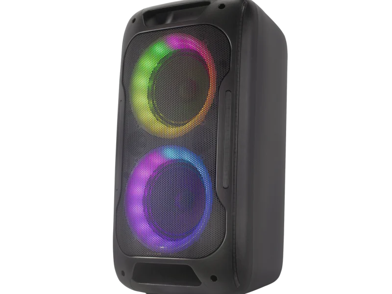 HJ-P6081 Party Speaker