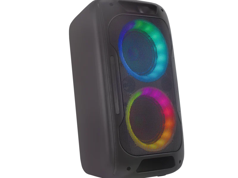 HJ-P6081 Party Speaker