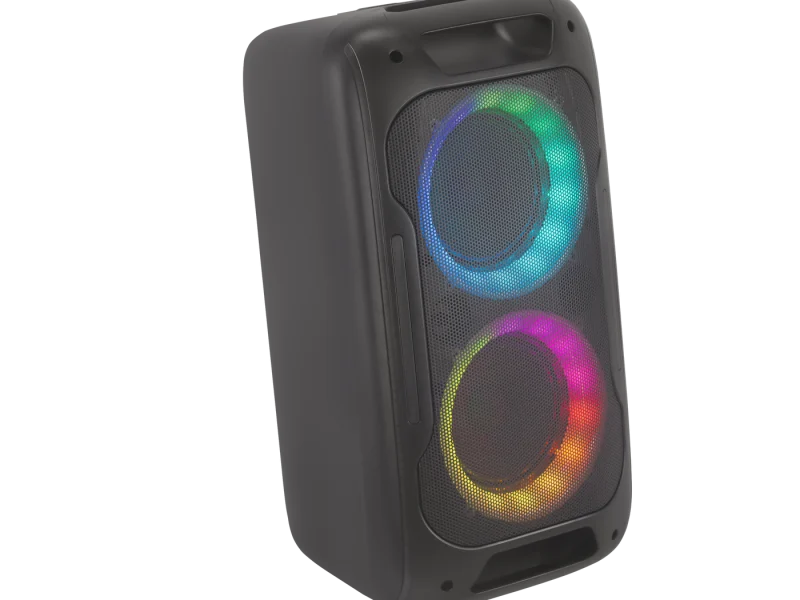 HJ-P6081 Party Speaker