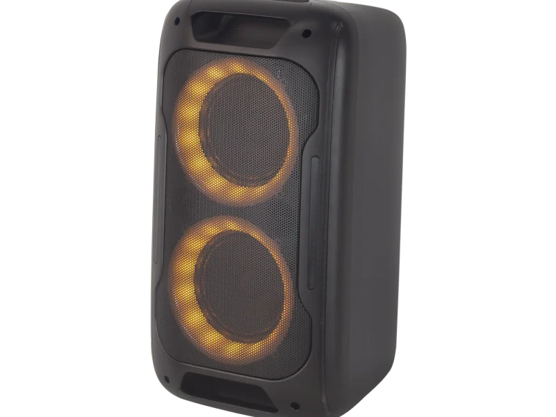 HJ-P6081 Party Speaker