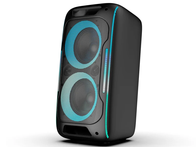 HJ-P6082 Party Speaker