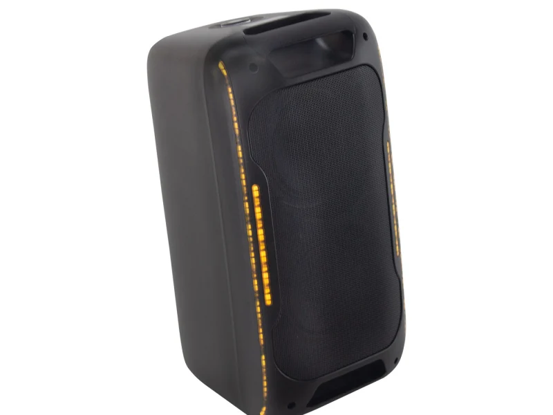 HJ-P608 Party Speaker