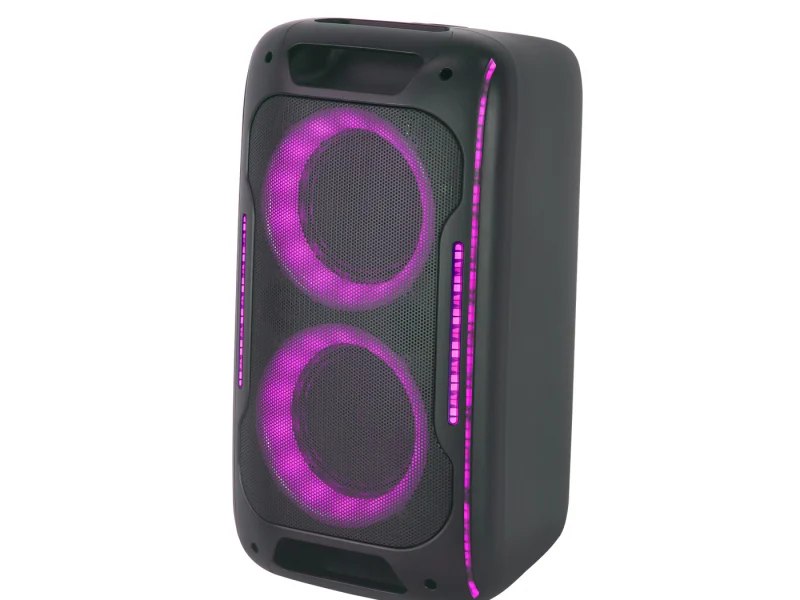 HJ-P6082 Party Speaker