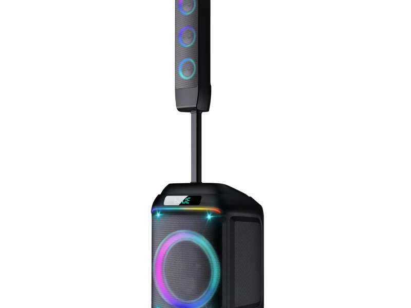 HJ-P813 Party Speaker