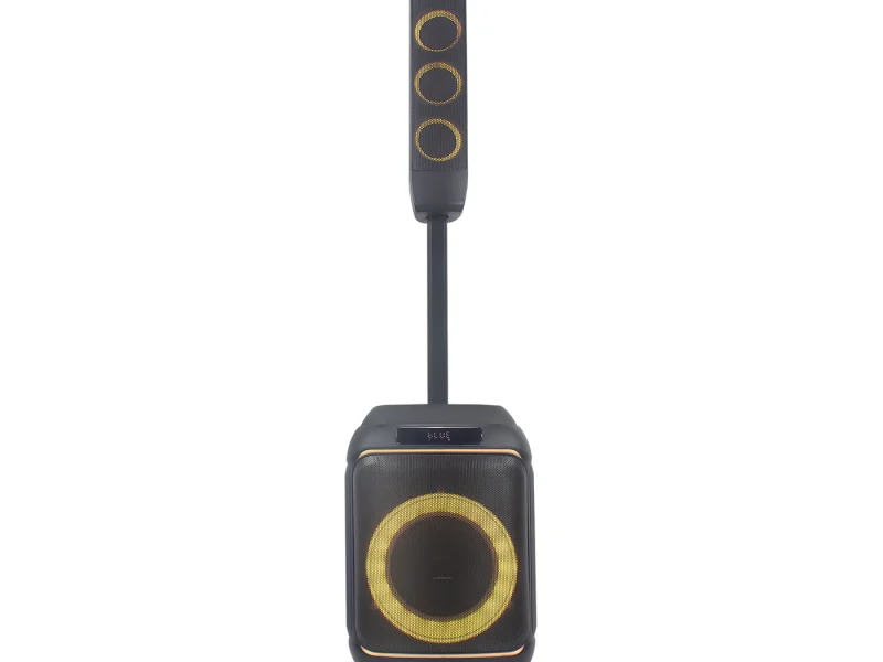 HJ-P813 Party Speaker