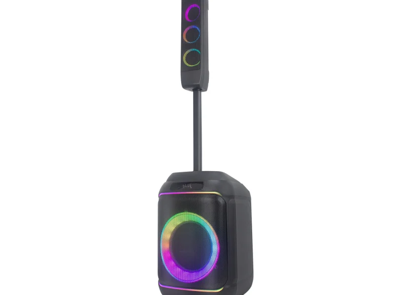HJ-P813 Party Speaker