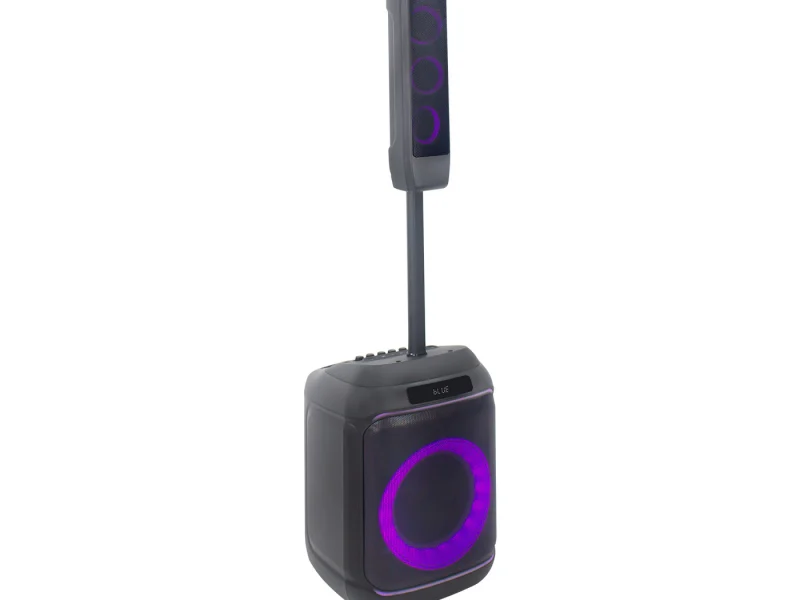 HJ-P813 Party Speaker