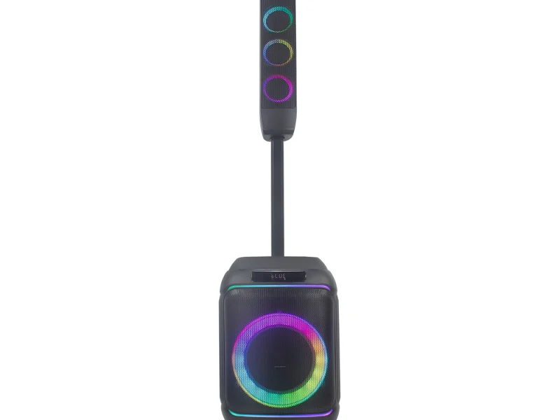 HJ-P813 Party Speaker