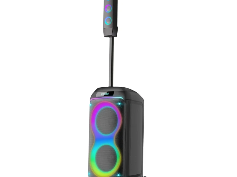 HJ-P823 Party Speaker