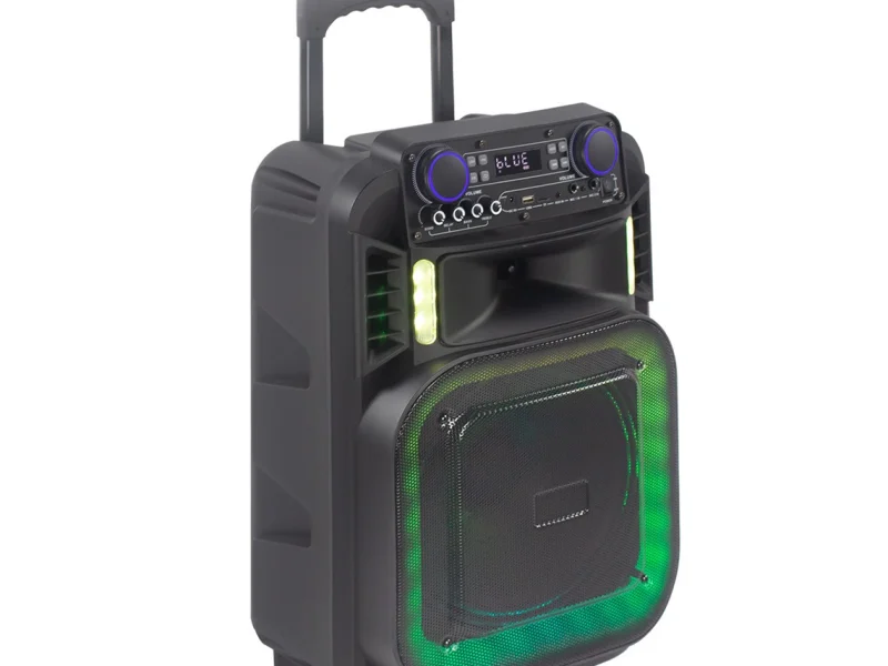 HJ-T124 Party Speaker