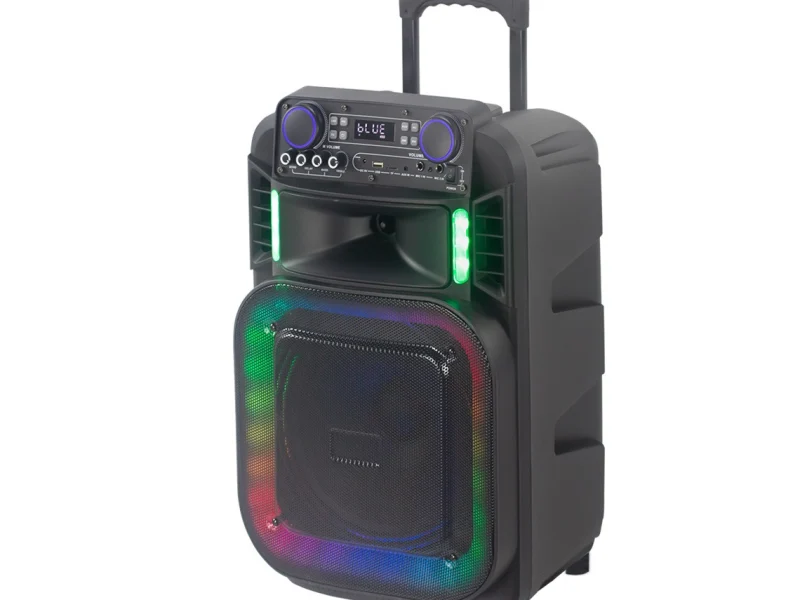 HJ-T124 Party Speaker