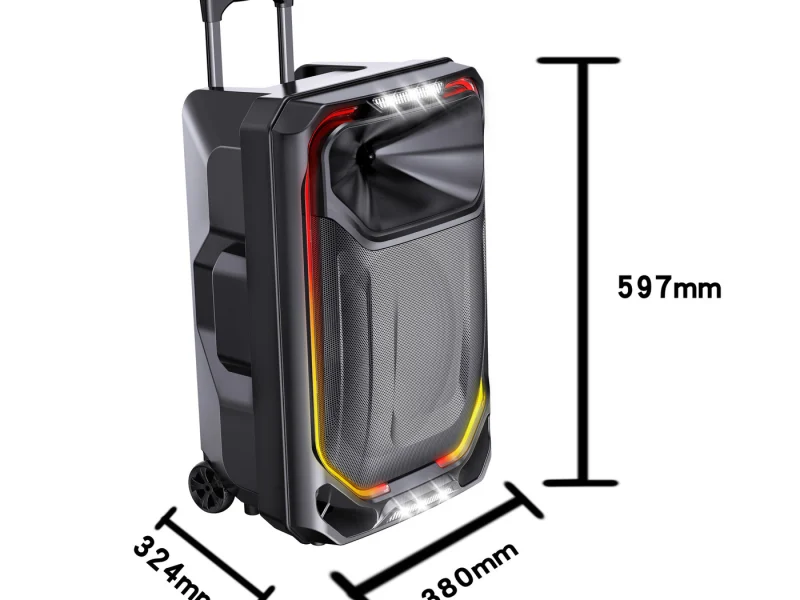 HJ-T315 Party Speaker