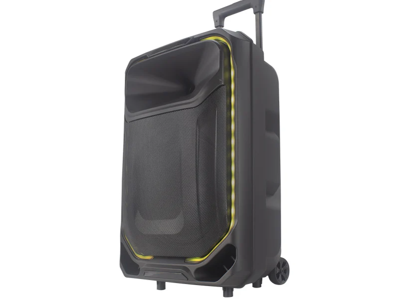 HJ-T312 Party Speaker