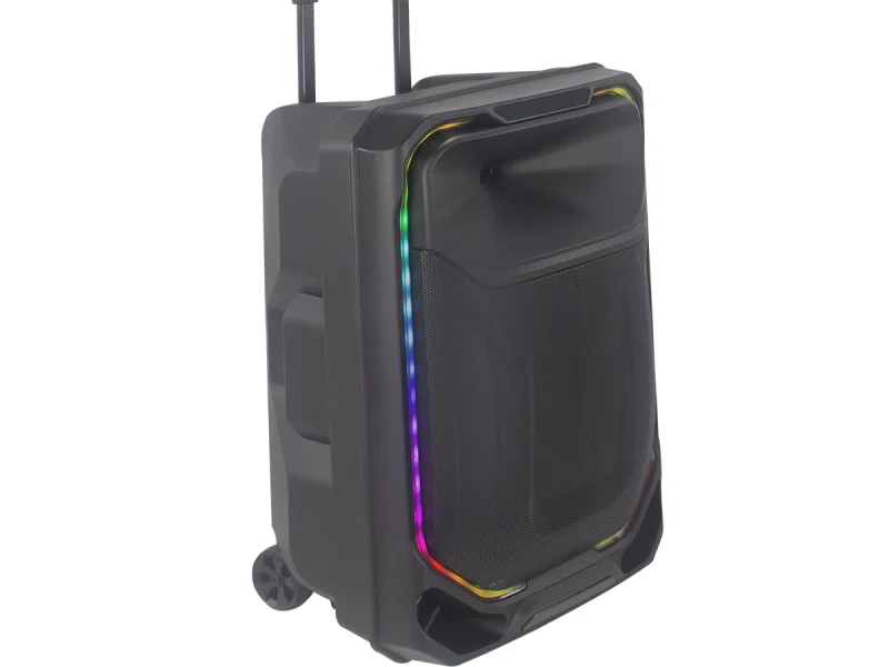 HJ-T312 Party Speaker