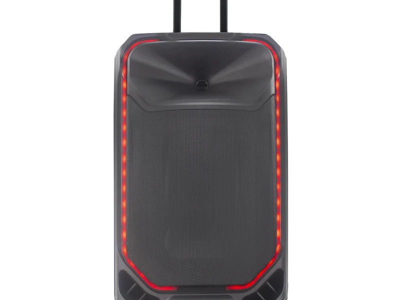 HJ-T315 Party Speaker