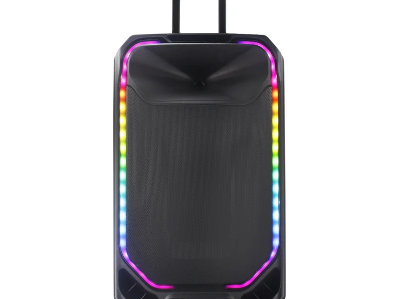 HJ-T315 Party Speaker