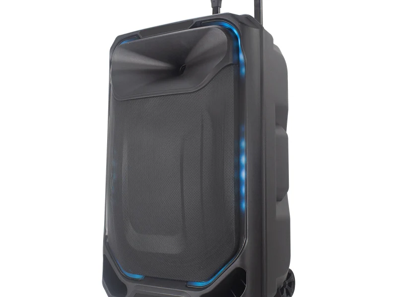 HJ-T315 Party Speaker