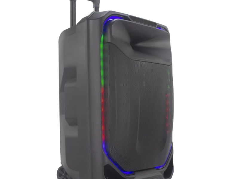 HJ-T315 Party Speaker