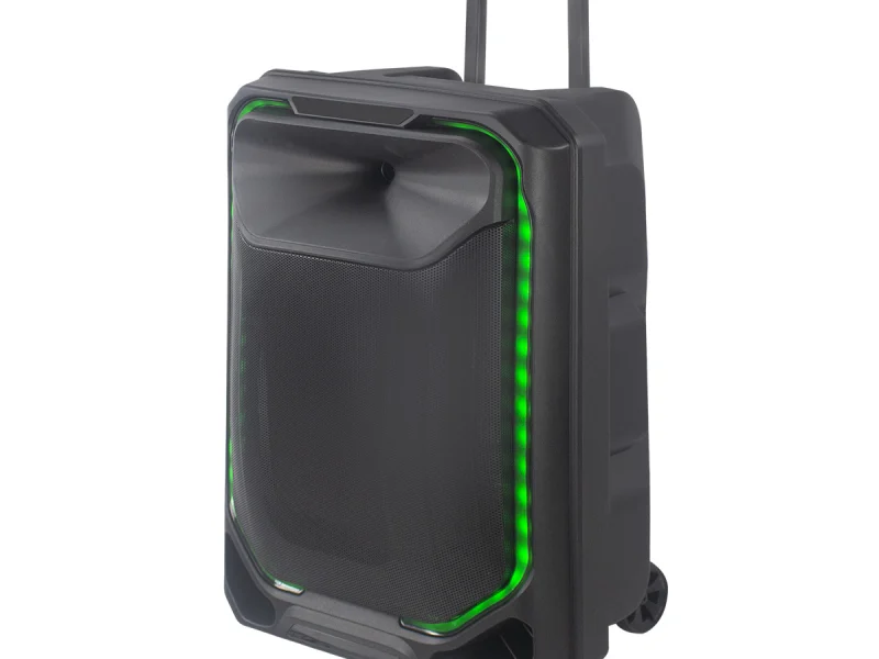 HJ-T315 Party Speaker