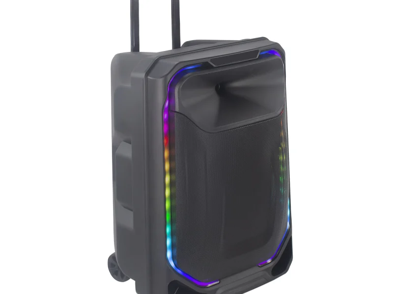 HJ-T315 Party Speaker