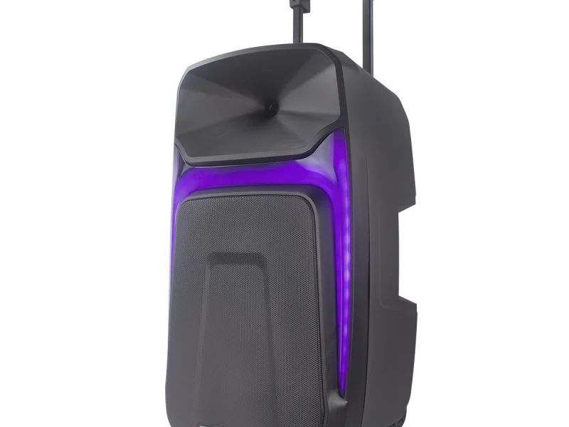 HJ-T815EQ Party Speaker