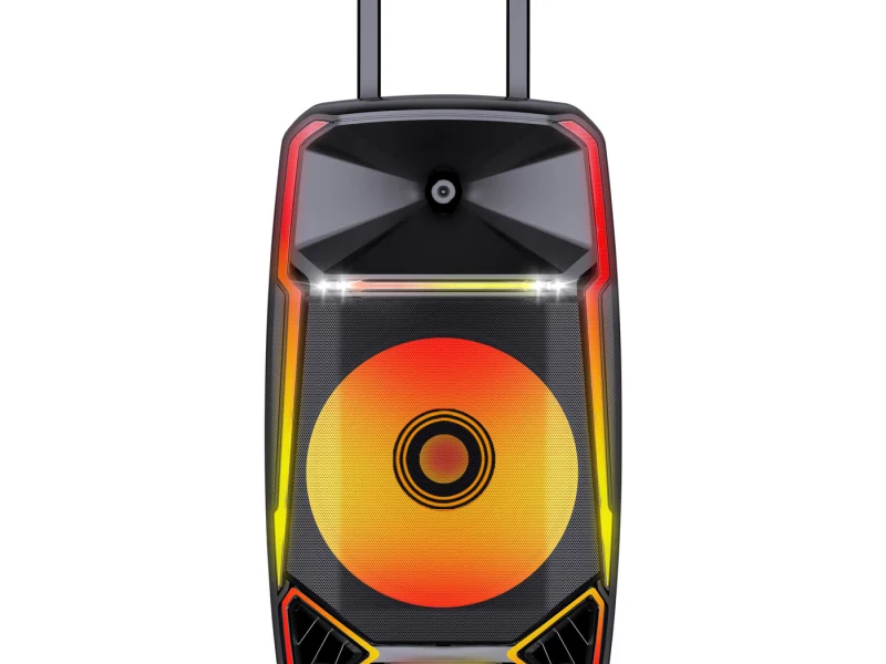 HJ-T915EQ Party Speaker