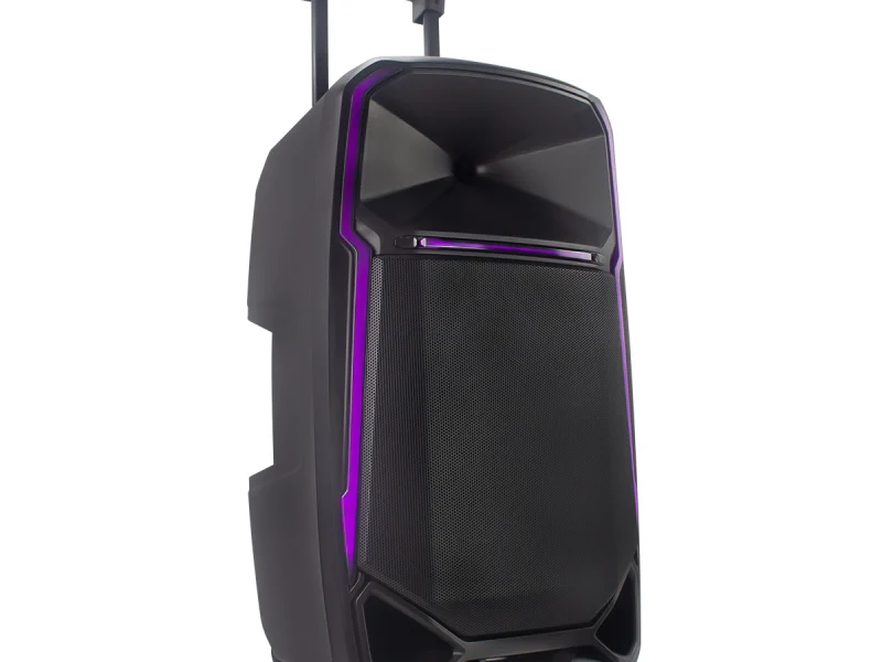 HJ-T915EQ Party Speaker