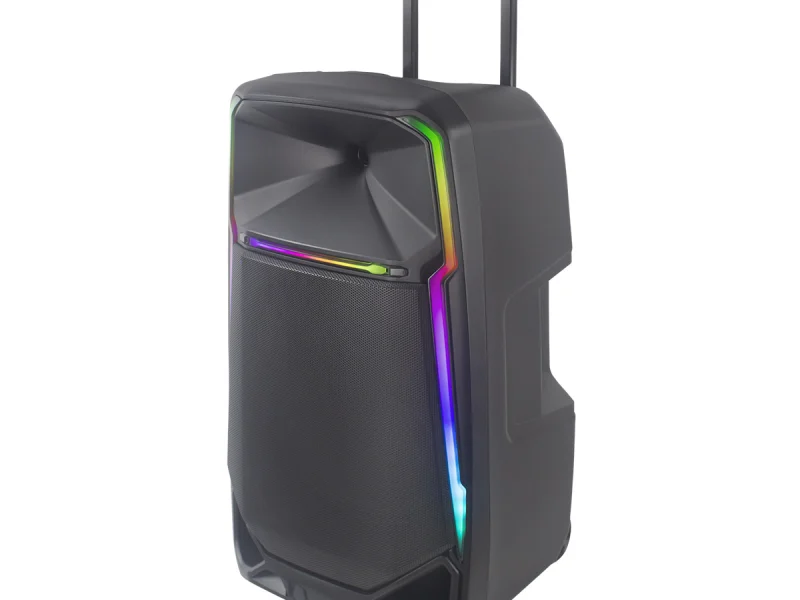 HJ-T915EQ Party Speaker