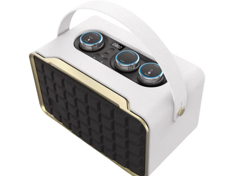 HJ04-8 Party Speaker