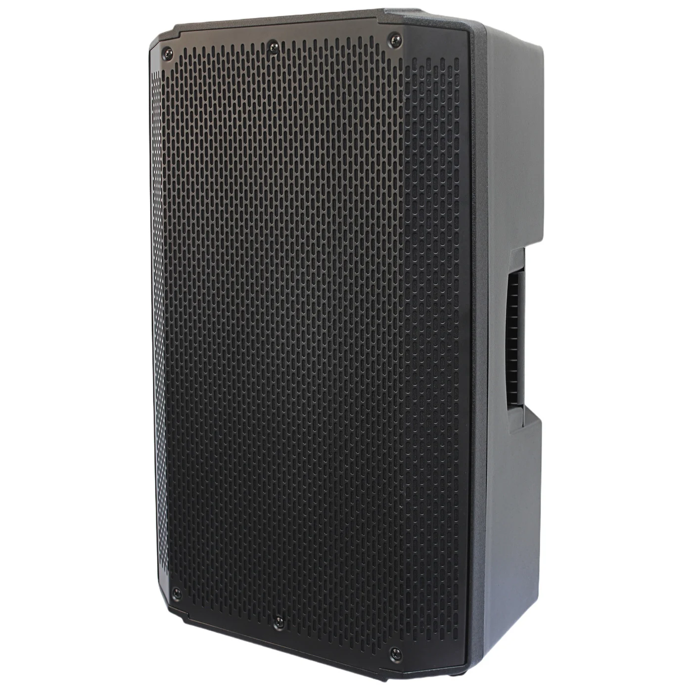 HJ12-10L PA Speaker