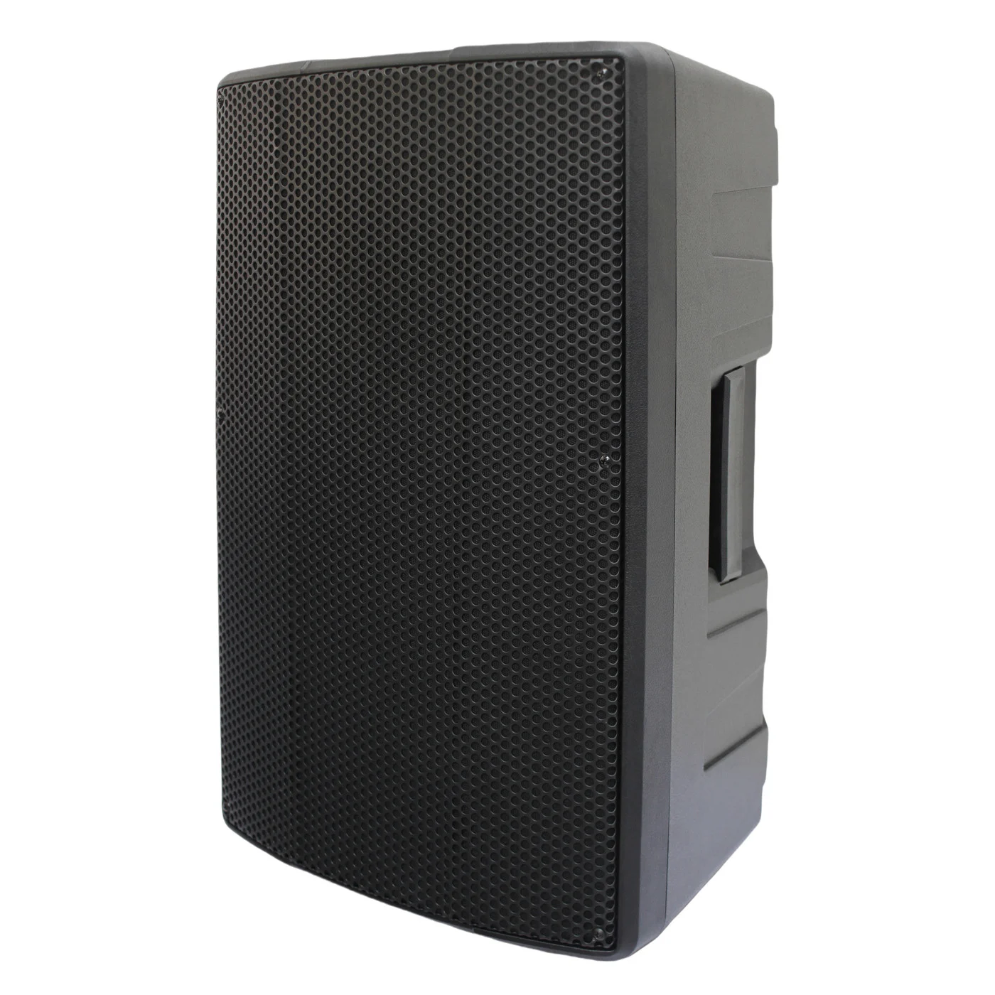 HJ12-12L PA Speaker