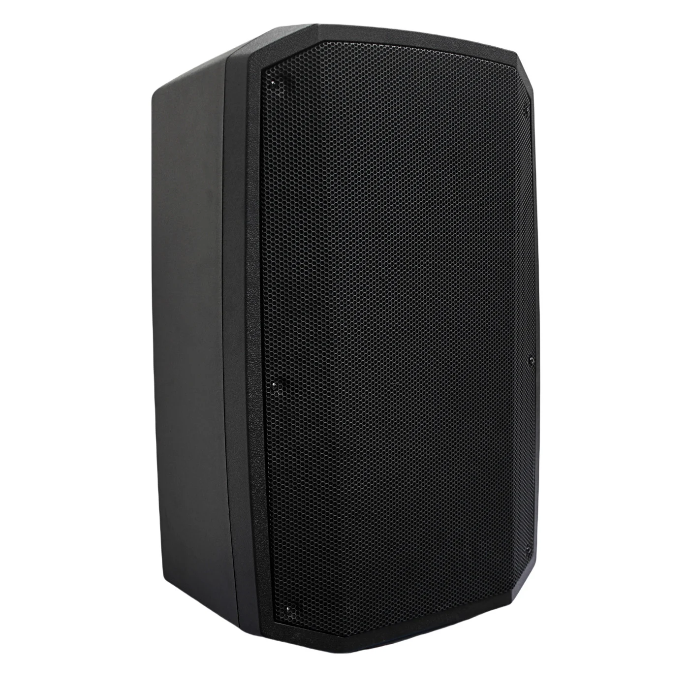 HJ15-16L PA Speaker